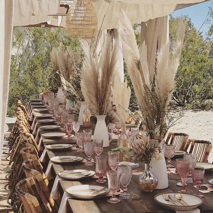 100Pcs/lot Wholesale Phragmites natural dried decorative Pampas Grass for Home Wedding decoration Flower Bunch 56-60cm