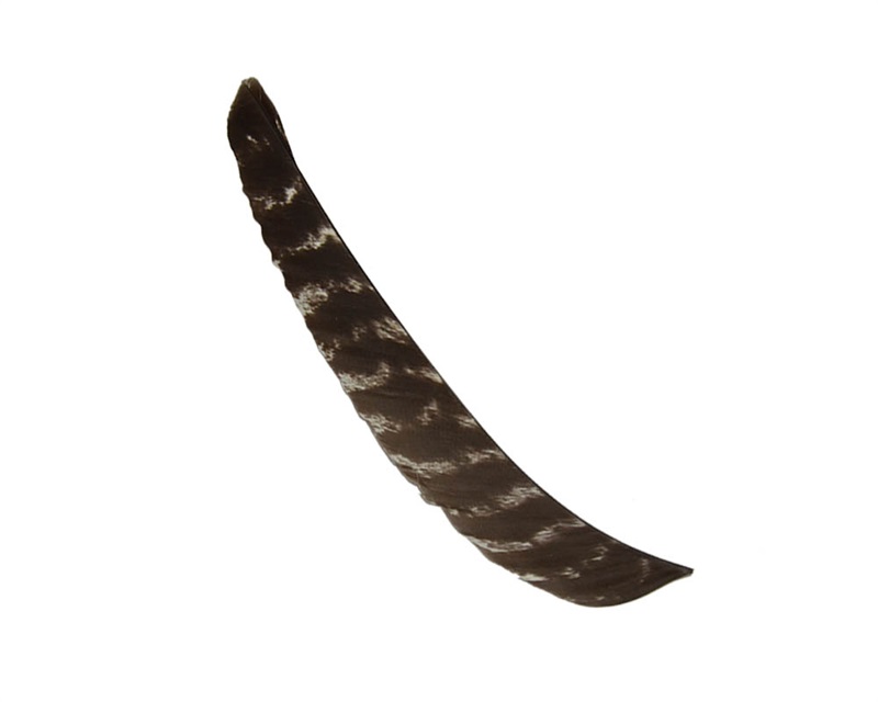 7.8inch Turkey Feather High Quality Real Feather Arrow Feathers Vanes Archery Arrows
7.8inch Turkey Feather High Quality Real Feather Arrow Feathers Vanes Archery Arrows