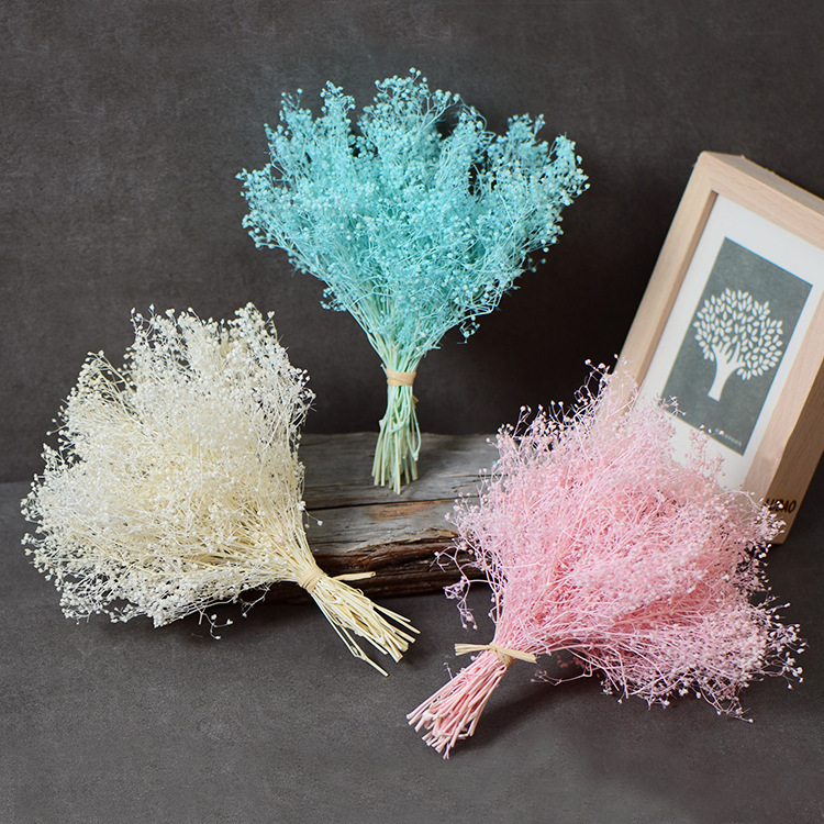 10g/Bouquet,Natural Fresh Preserved Babysbreath flower,Immortal Dried Flowers gift for Wedding Party Home Decoration accessories 1022
10g/Bouquet,Natural Fresh Preserved Babysbreath flower,Immortal Dried Flowers gift for Wedding Party Home Decoration accessories 1022