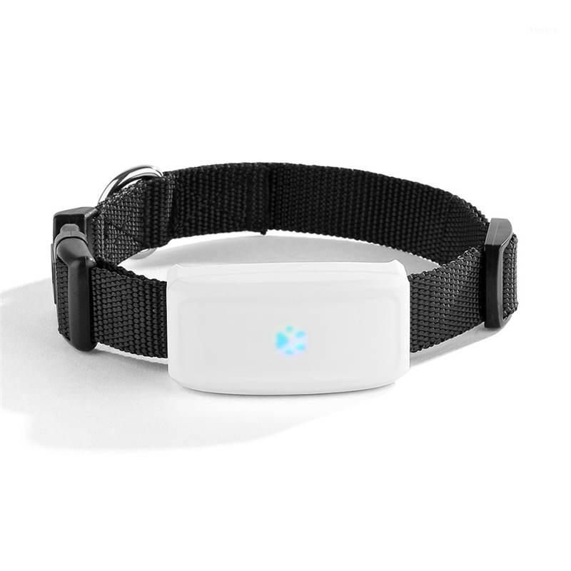 New Mini Wifi Pet Cat Dog GPS Tracker Locator Small Tracking Device Waterproof Real time Google Map Free Web APP Tack1
New Mini Wifi Pet Cat Dog GPS Tracker Locator Small Tracking Device Waterproof Real time Google Map Free Web APP Tack1