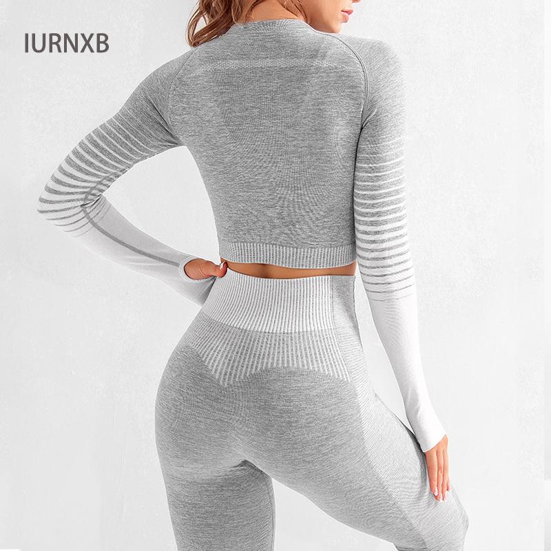 Seamless Women Yoga Set Long Sleeve Top High Waist Sport Leggings Gym Clothes Sport Suit Fitness Sets for Women, Orange short
Seamless Women Yoga Set Long Sleeve Top High Waist Sport Leggings Gym Clothes Sport Suit Fitness Sets for Women, Orange short