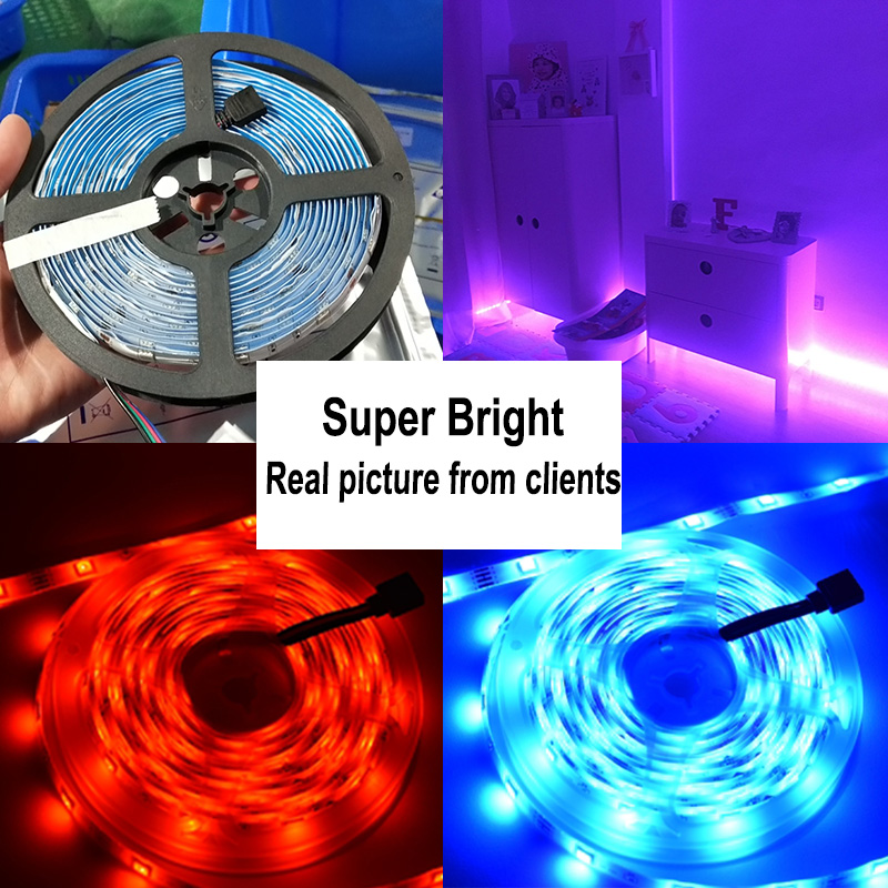 Drop Ship LED Strips 16.4FT 32.8FT 49FT 65FT RGB Strip Light DC12V 5050SMD Led lights with Adapter and 44keys IR Controller