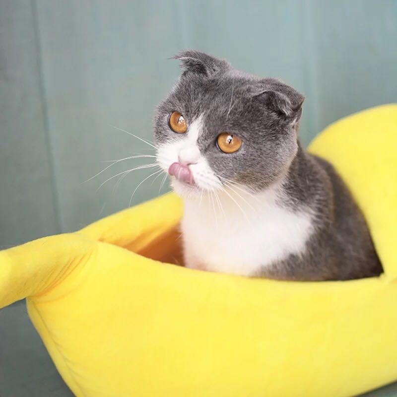 2020 Hot Sale Cotton Cat's Nest Creative Dog's Nest Banana-shaped Cat's for Pets Warm and Lovely Colored Pet in Winter
2020 Hot Sale Cotton Cat's Nest Creative Dog's Nest Banana-shaped Cat's for Pets Warm and Lovely Colored Pet in Winter