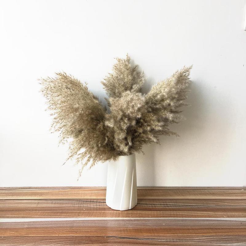 light color pampas grass decor dry flowers fashion wedding-pampas flowers Fluffy feath home holiday party decor plastic vase, 10pcs
light color pampas grass decor dry flowers fashion wedding-pampas flowers Fluffy feath home holiday party decor plastic vase, 10pcs