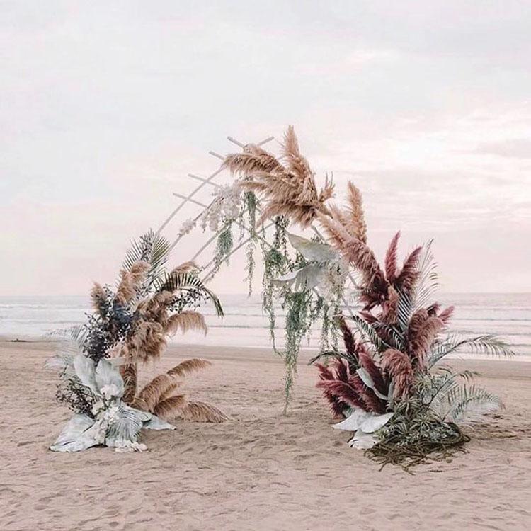 100Pcs/lot Wholesale Phragmites natural dried decorative Pampas Grass for Home Wedding decoration Flower Bunch 56-60cm