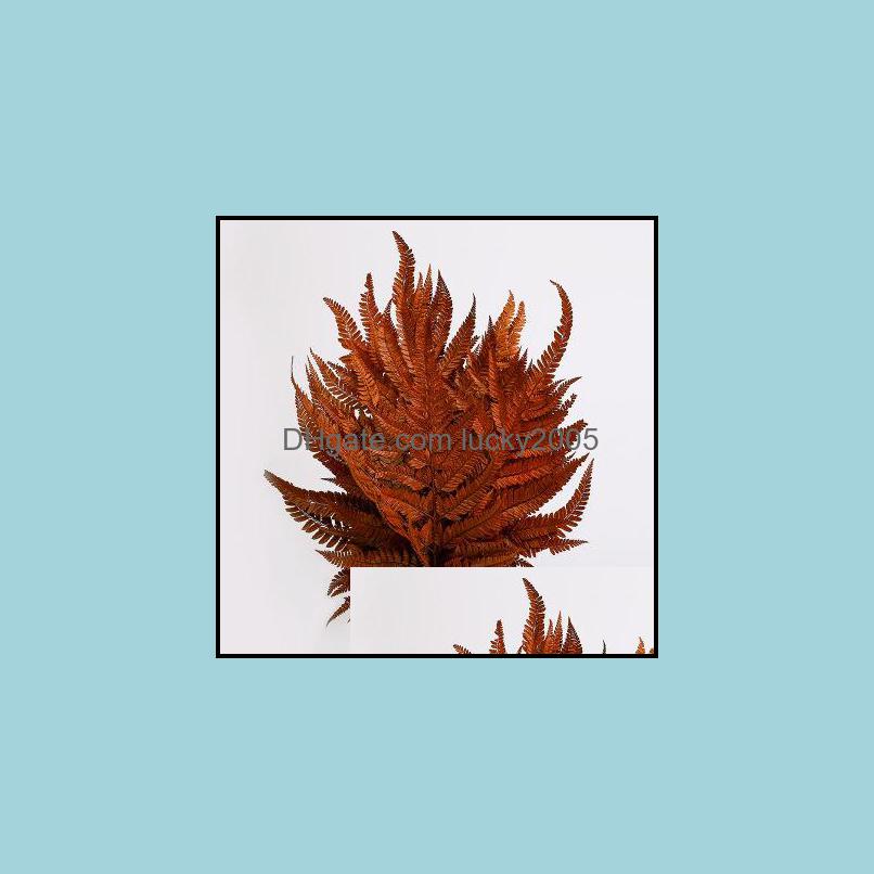 Decorative Flowers & Wreaths Festive Party Supplies Home Garden 10Pcs,Natural Dried Fern Leaves,Eternelle Frond Flower For Wedding Decoratio, Red
Decorative Flowers & Wreaths Festive Party Supplies Home Garden 10Pcs,Natural Dried Fern Leaves,Eternelle Frond Flower For Wedding Decoratio, Red