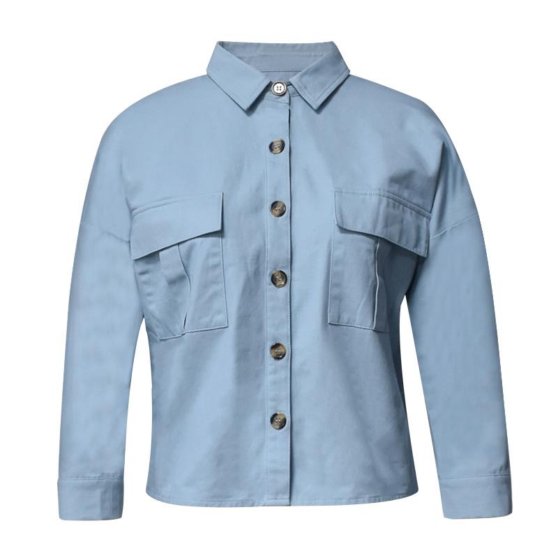 Workwear shirt Spring and Autumn Fashion Solid Color Shirt Street Trend Sports Casual Loose Long Sleeve Top, Blue
Workwear shirt Spring and Autumn Fashion Solid Color Shirt Street Trend Sports Casual Loose Long Sleeve Top, Blue