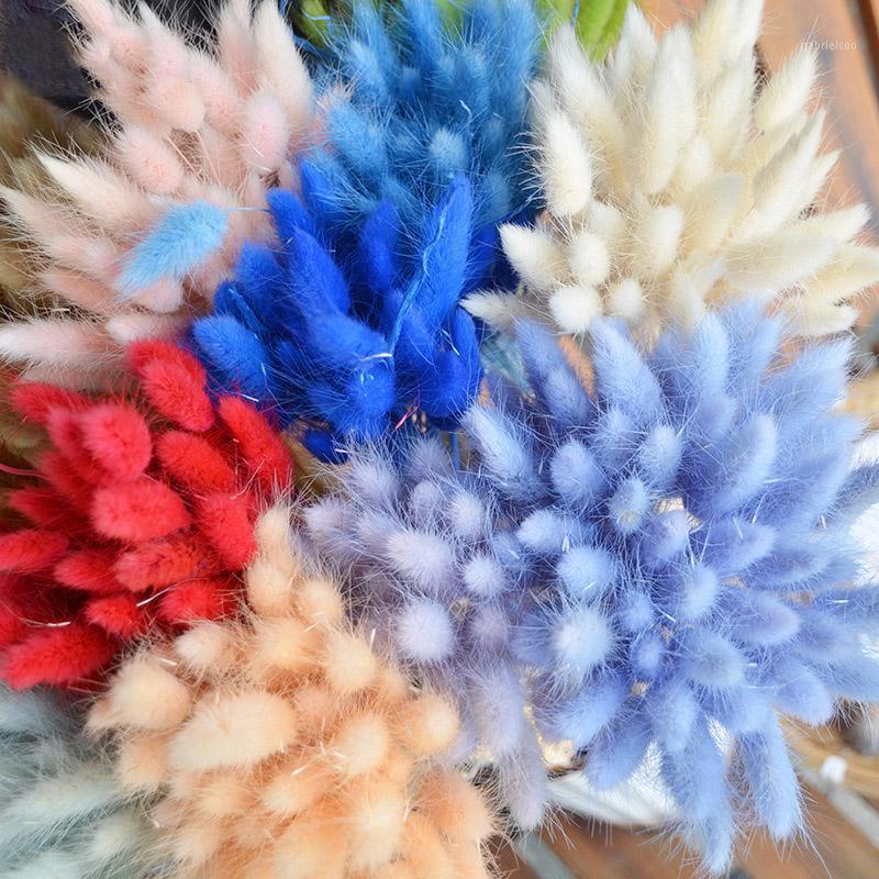 50Pcs Dried Flower Grass Decoration Photography Props for Home Store Wedding Decoration Artificial Flower Lagurus Ovatus Bouquet1, Brown
50Pcs Dried Flower Grass Decoration Photography Props for Home Store Wedding Decoration Artificial Flower Lagurus Ovatus Bouquet1, Brown