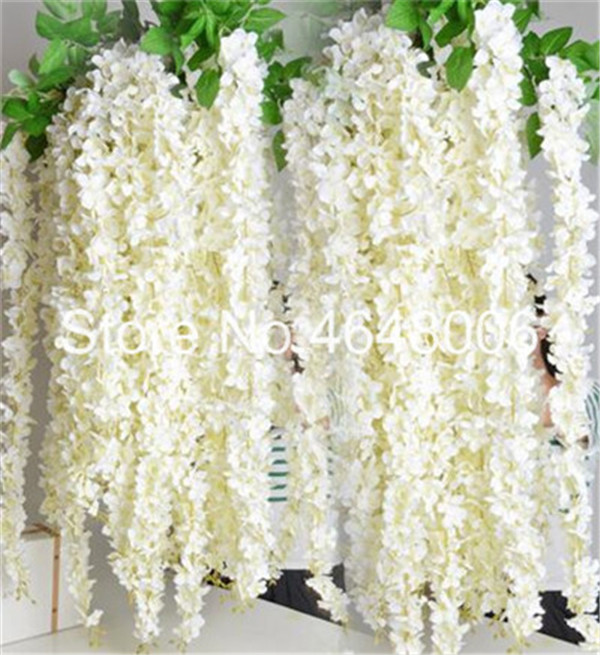 10 Pcs Rare Colorful Wisteria Bonsai, Color Flower Bonsai Wisteria Tree Ornamental Beautiful Plant For Home Garden Natural Growth Variety of Colors Aerobic Potted
10 Pcs Rare Colorful Wisteria Bonsai, Color Flower Bonsai Wisteria Tree Ornamental Beautiful Plant For Home Garden Natural Growth Variety of Colors Aerobic Potted