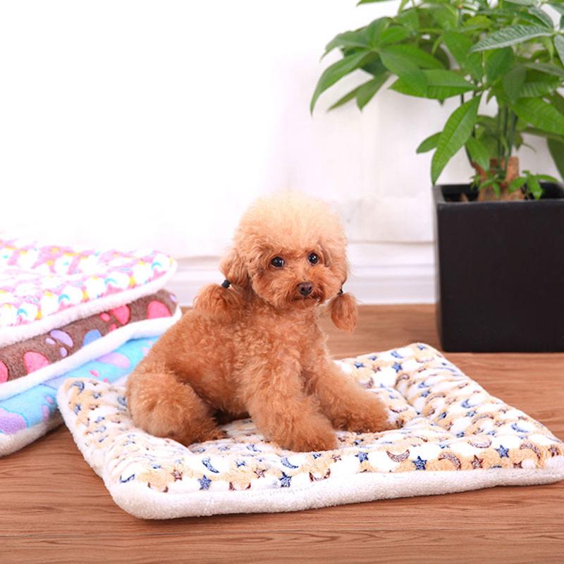 Cashmere Pet Mat Thickens Dog's Kennel Warm Cat Nest Mat Cat Species Bed House Pet Round Cushion Best Dropshipping Wholesale
Cashmere Pet Mat Thickens Dog's Kennel Warm Cat Nest Mat Cat Species Bed House Pet Round Cushion Best Dropshipping Wholesale