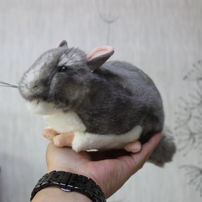 Kawaii Simulation Chinchillidae Plush Toys Mini Chinchillas Plush Dolls Simulation Mouse Stuffed Toys For Kids LJ201126