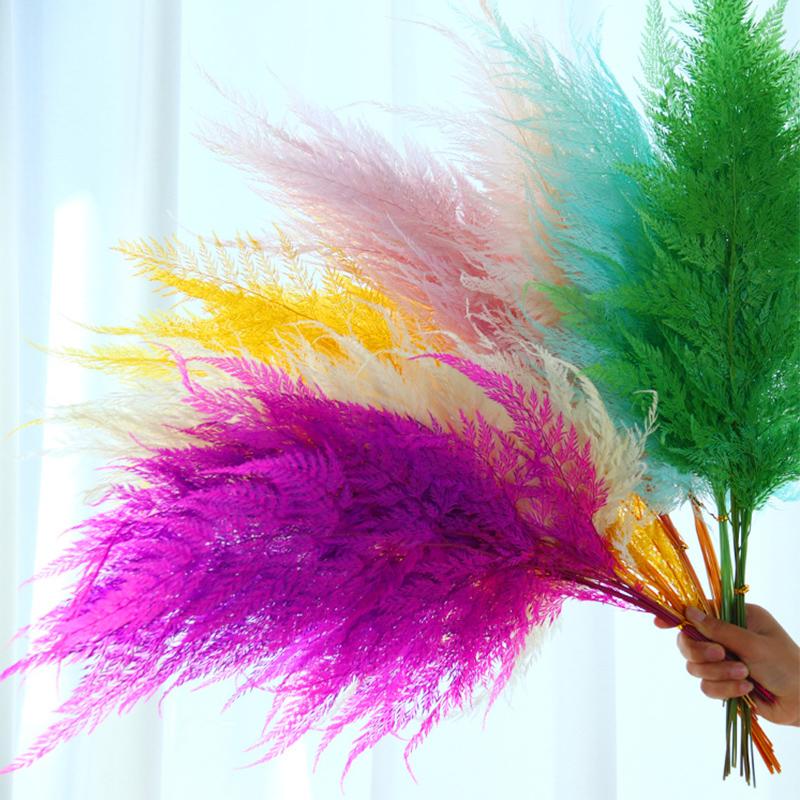 10pcs,Natural Fresh Preserved Snow Ferns,Eternelle Dry Flower Leaves For Wedding Home Decoration Table Accessories, Pink
10pcs,Natural Fresh Preserved Snow Ferns,Eternelle Dry Flower Leaves For Wedding Home Decoration Table Accessories, Pink