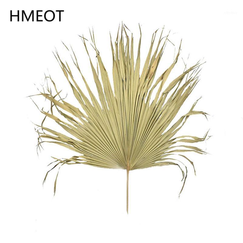 Palm Fan Leaf Dried Flower Natural Plants Leaves Window Reception Party Art Wall Hanging Decoration Wedding Arch Arrangement1
Palm Fan Leaf Dried Flower Natural Plants Leaves Window Reception Party Art Wall Hanging Decoration Wedding Arch Arrangement1