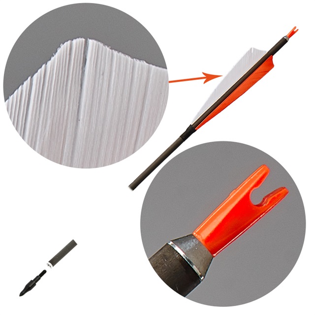 2 orange 1 white turkey feather archery hunting carbon arrows fletching hunting arrowheads,nock and carbon shaft
2 orange 1 white turkey feather archery hunting carbon arrows fletching hunting arrowheads,nock and carbon shaft