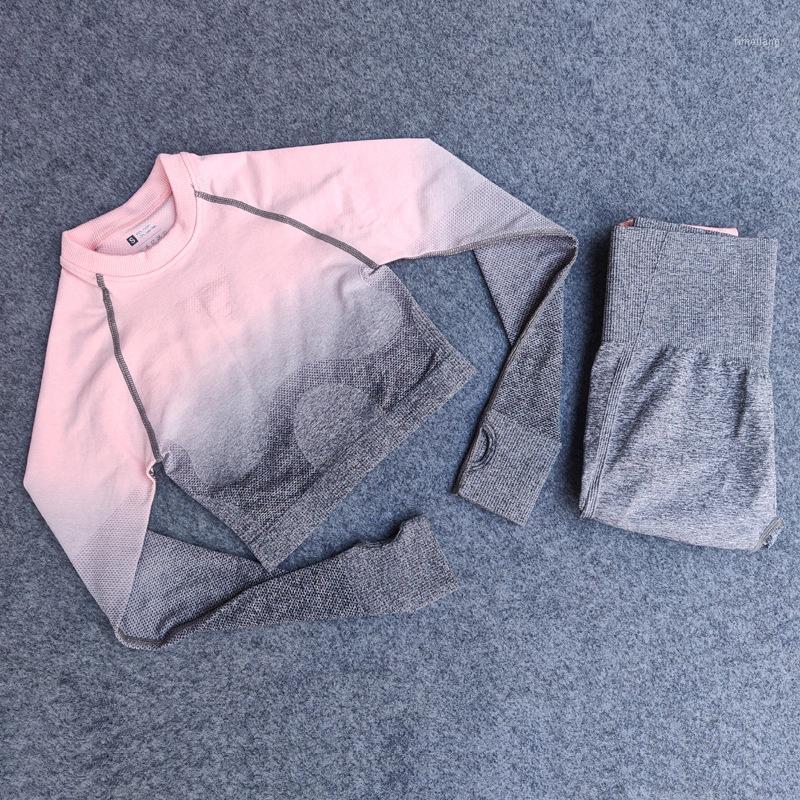 2PCS Seamless Women Sports Suit Gym Leggings Workout Clothes Long Sleeve Fitness Crop Top Shirts Pants Yoga Set Tracksuit1, Orange
2PCS Seamless Women Sports Suit Gym Leggings Workout Clothes Long Sleeve Fitness Crop Top Shirts Pants Yoga Set Tracksuit1, Orange
