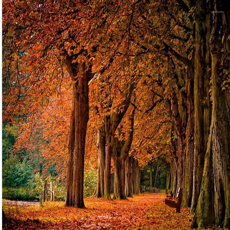 Dropship 3D Photo Wallpaper Beautiful Autumn Woods Mural Living Room TV Wall Background Wall Restaurant Custom Wallpaper Mural1, As pic
Dropship 3D Photo Wallpaper Beautiful Autumn Woods Mural Living Room TV Wall Background Wall Restaurant Custom Wallpaper Mural1, As pic