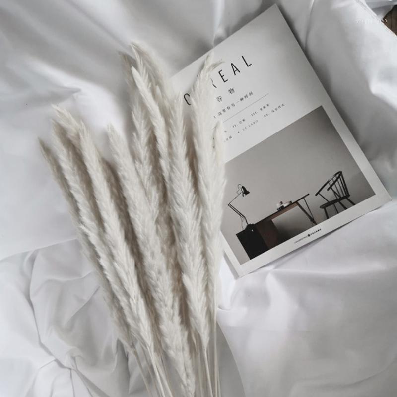 Decorative Flowers & Wreaths 20 Pcs Soft Home Furnishing Living Room Shooting Props Pampas Reed Flowers1, As pic
Decorative Flowers & Wreaths 20 Pcs Soft Home Furnishing Living Room Shooting Props Pampas Reed Flowers1, As pic