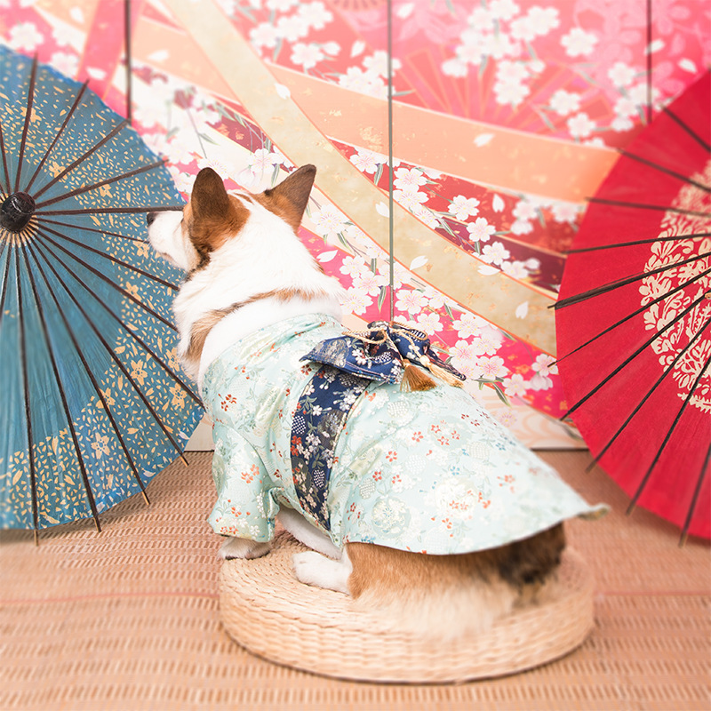 Pet Kimono Dog Japanese Style Clothes Corgi Shiba Inu Custom Large Size Kimono Dog Clothes Dog Costumes for Small Dogs LJ201130