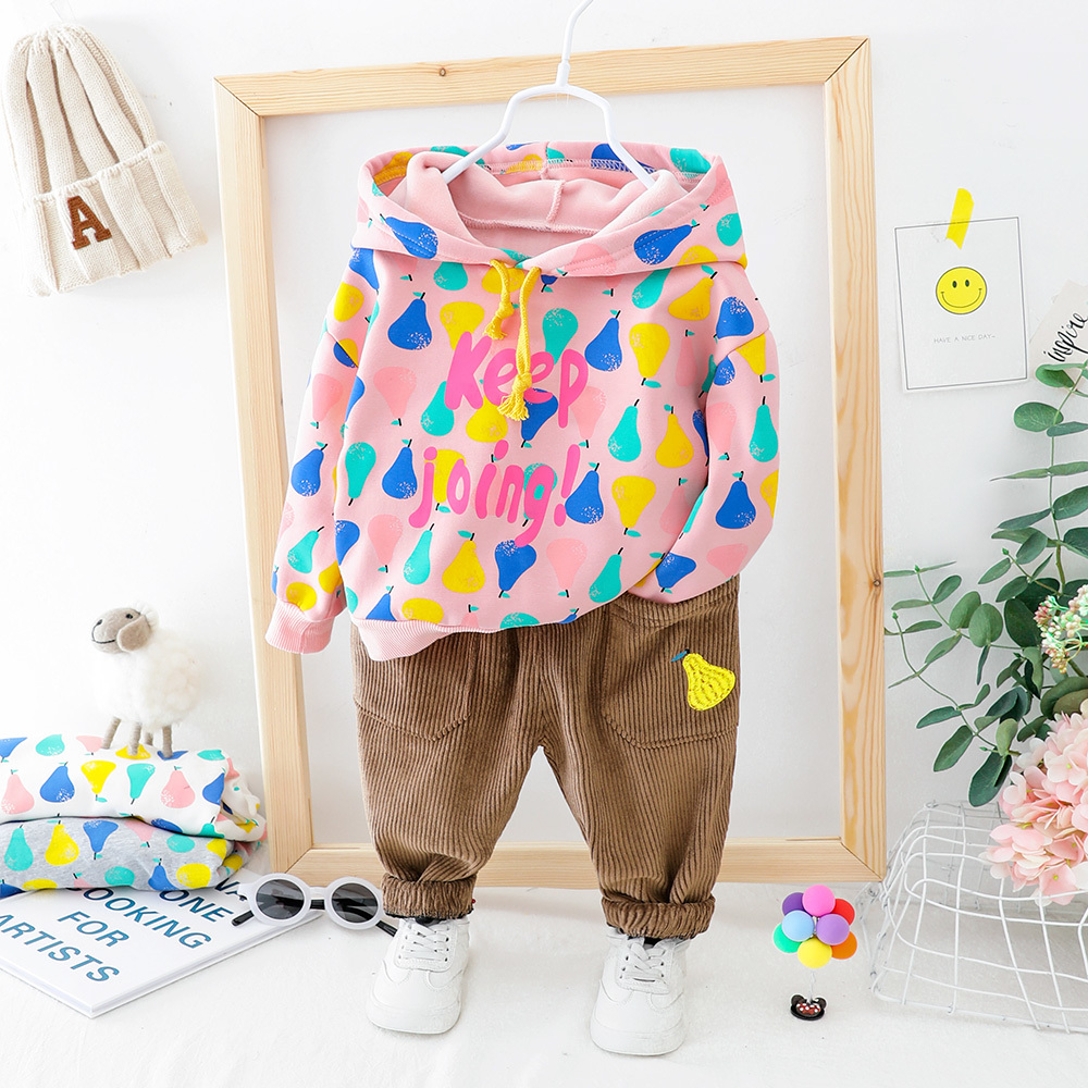 HYLKIDHUOSE 2019 Baby Girls Boys Clothing Sets Toddler Infant Clothes Suits Autumn Hooded Plush Kids Tops Pants Child CostumeX1019