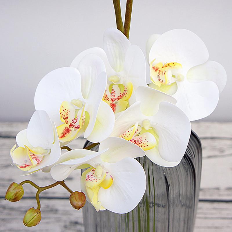 3D Artificial Butterfly Orchid Flowers Fake Moth flor Flower for Home Wedding DIY Decoration Real Touch Decor Flore, White
3D Artificial Butterfly Orchid Flowers Fake Moth flor Flower for Home Wedding DIY Decoration Real Touch Decor Flore, White
