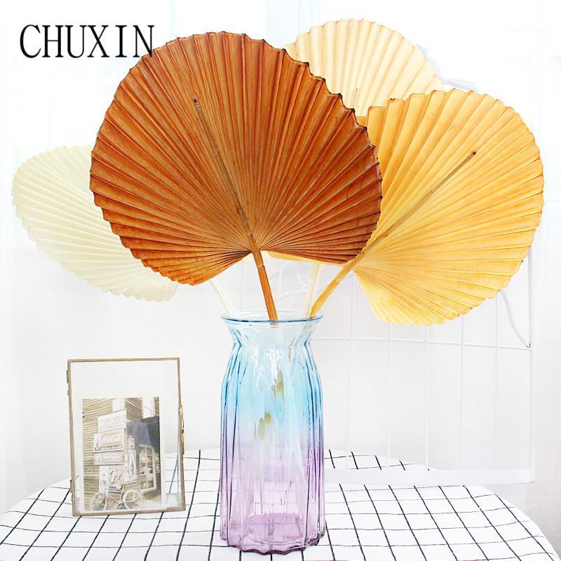 50cm Fan Leaf Artificial Plants Home Decor Dining Table Balcony Cafe Wedding Flower Arrangement Fake Plants Props Decorations1, Red
50cm Fan Leaf Artificial Plants Home Decor Dining Table Balcony Cafe Wedding Flower Arrangement Fake Plants Props Decorations1, Red