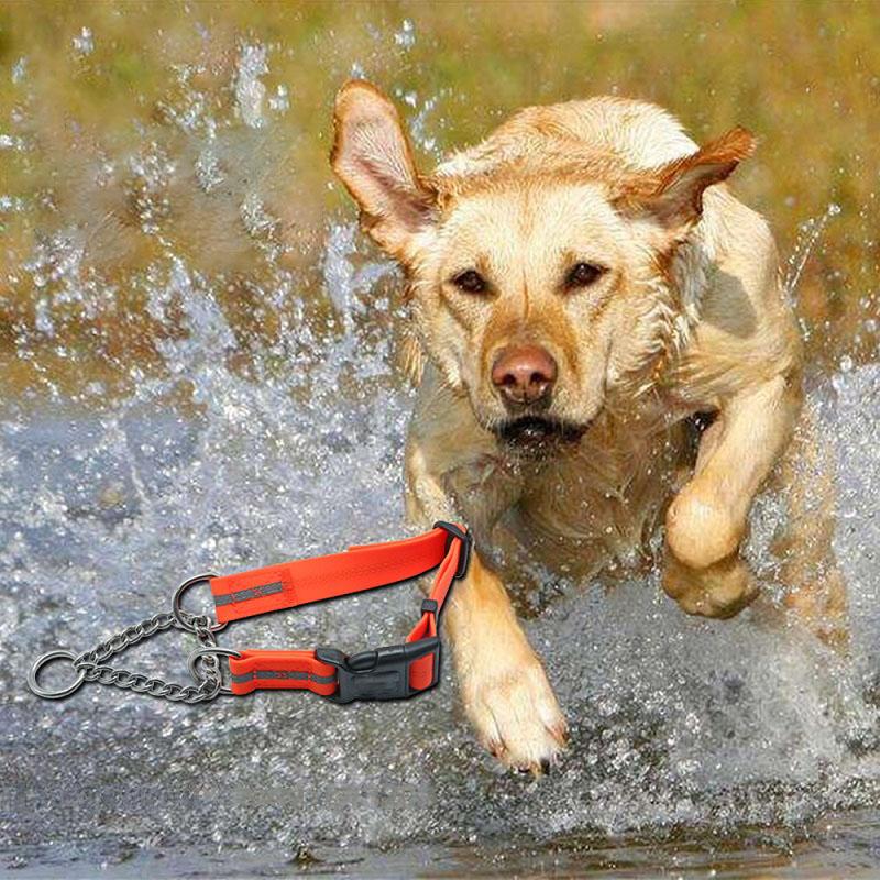 Outdoor Waterproof P chain dog Collar PVC Material pet collars reflective training dogs neck Collar for Small medium large dogs 
Outdoor Waterproof P chain dog Collar PVC Material pet collars reflective training dogs neck Collar for Small medium large dogs