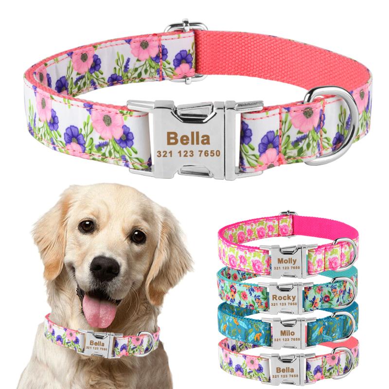 Adjustable Nylon Cool Dog Collar Custom Carved Name Phone Blue Pitbull Personalized Dog Collar
Adjustable Nylon Cool Dog Collar Custom Carved Name Phone Blue Pitbull Personalized Dog Collar