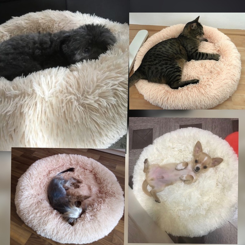 Removable Dog Bed Plush Round Donut Pet Beds Kennel Cusion Puppy Mats Lounger Comfy House Sofa for Medium Large Dogs Detachable LJ201201
