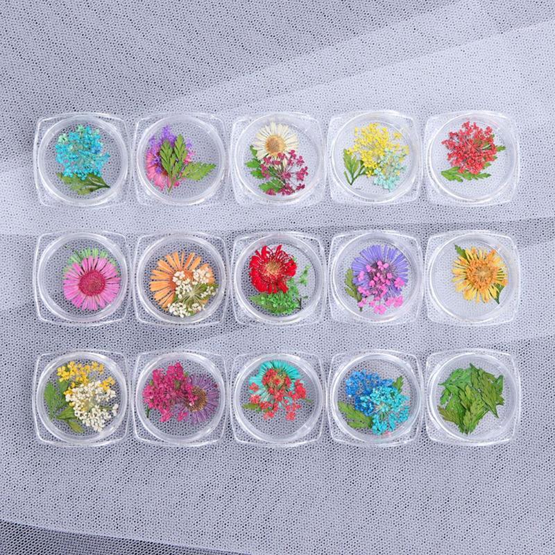 15pcs/set Beautiful Art Decoration Assorted DIY Dried Flower Art Flower Handmade DIY Accessories Supplies Gifts 2020 New1, Beige
15pcs/set Beautiful Art Decoration Assorted DIY Dried Flower Art Flower Handmade DIY Accessories Supplies Gifts 2020 New1, Beige