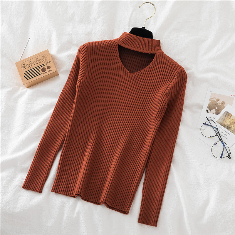 Autumn Winter Turtleneck Sweater Women Casual Long Sleeve Solid Knit Pullover Women Slim Jumper Sweater Female Knit Tops 201221