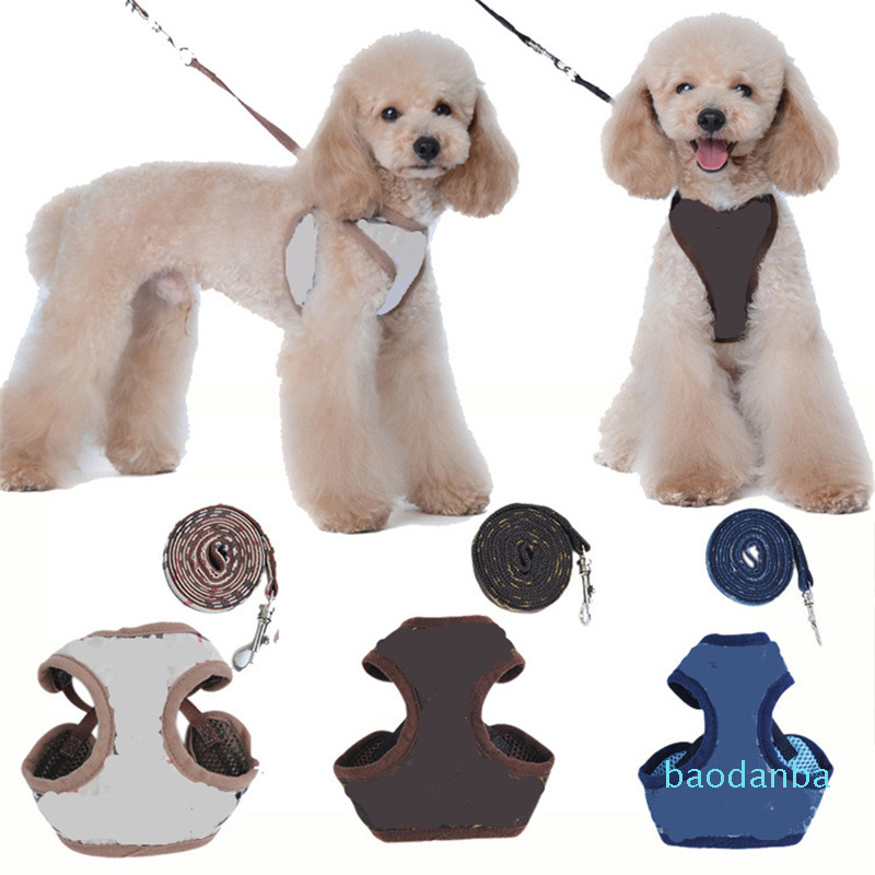 Designer Pet Harnesses Leashe Fashion Letter Embroidery Cute Teddy Puppy Small Dog Supplies Personality Pet Leash Collar 2PCS Sets
Designer Pet Harnesses Leashe Fashion Letter Embroidery Cute Teddy Puppy Small Dog Supplies Personality Pet Leash Collar 2PCS Sets
