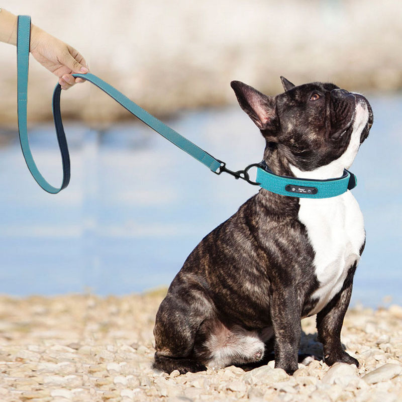 Dog Collars Custom Dog Collar Leash Set Leather Padded Engraved Personalized Leather Dog Collars And Leashes For Small Medium Large Dogs LJ201112 H250