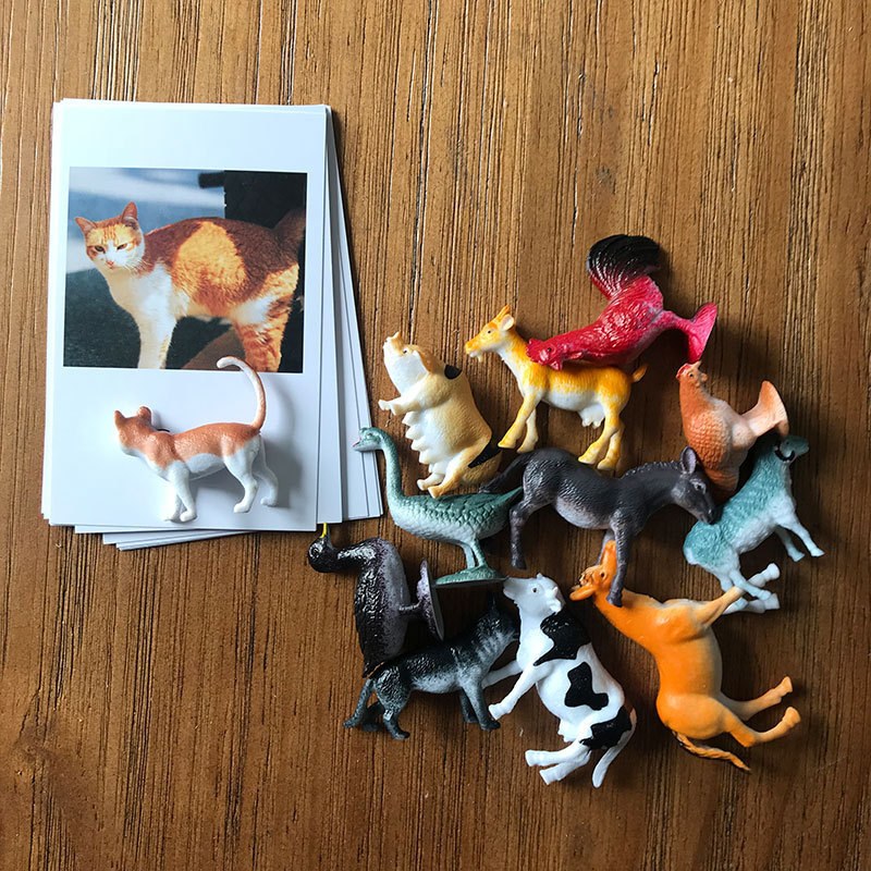 Animal Cognitive Flashcard Educational Games Montessori Toys Materials 3 Years English Early Educational Learning Cards For Baby LJ201114, Blue
Animal Cognitive Flashcard Educational Games Montessori Toys Materials 3 Years English Early Educational Learning Cards For Baby LJ201114, Blue