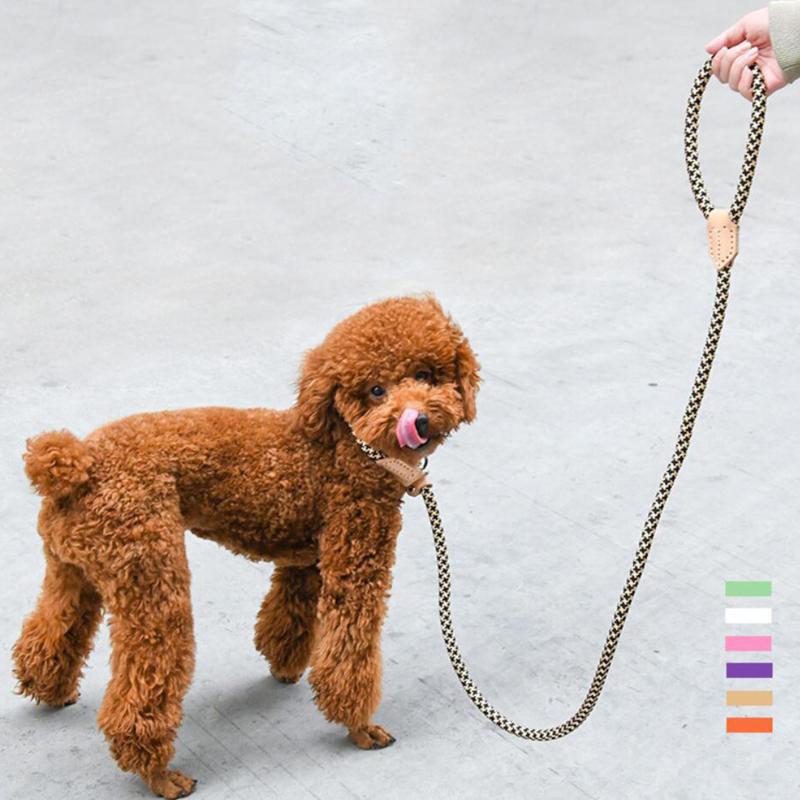 Durable Large Dog Leash Golden Retriever Medium Big Dog Collar Leashes Strong Lead Rope For Medium
Durable Large Dog Leash Golden Retriever Medium Big Dog Collar Leashes Strong Lead Rope For Medium
