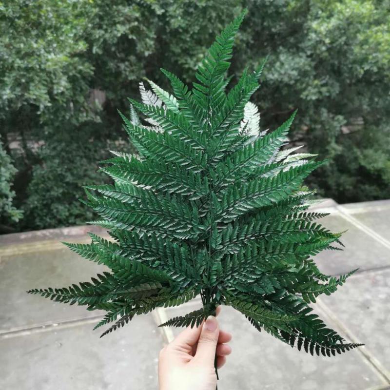 10pcs,Natural Dried Fern Leaves,Eternelle frond Flower for Wedding Party Home Decoration accessories,display Floating bottle, Green
10pcs,Natural Dried Fern Leaves,Eternelle frond Flower for Wedding Party Home Decoration accessories,display Floating bottle, Green