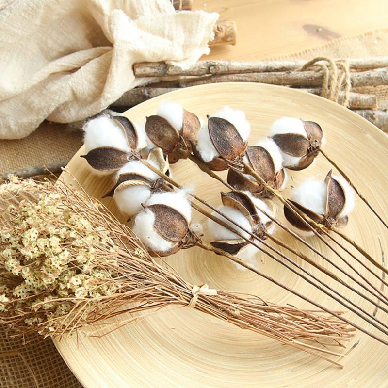 Nordic Dried Cotton Flowers Natural Cotton Stems Flower for Home Bar Shop Decoration Wedding Dried Flowers Decoration 23 Inches1, 1 piece
Nordic Dried Cotton Flowers Natural Cotton Stems Flower for Home Bar Shop Decoration Wedding Dried Flowers Decoration 23 Inches1, 1 piece