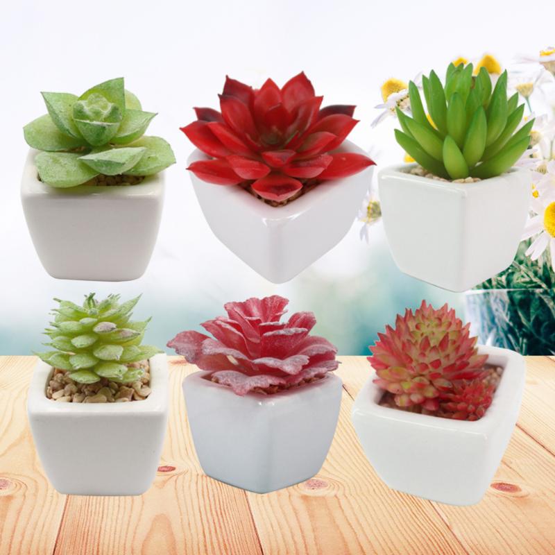 6PCS Decorative Faux Succulent Artificial Succulent Fake Simulation Plants in Square White Ceramic Pots (Assorted Pattern, Picture 1
6PCS Decorative Faux Succulent Artificial Succulent Fake Simulation Plants in Square White Ceramic Pots (Assorted Pattern, Picture 1