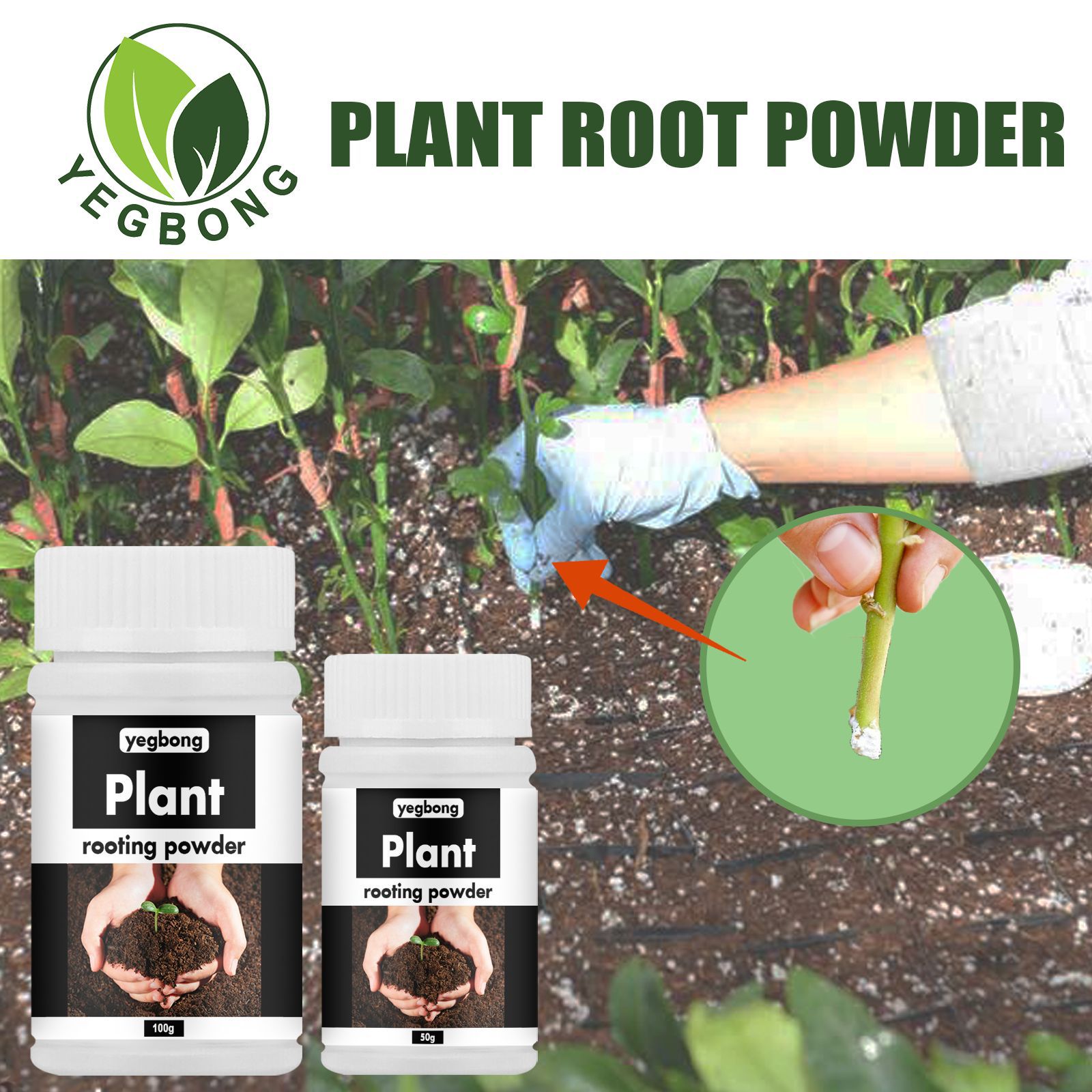 Free freight YEGBONG OEM ODM Rooting powder cutting plant universal transplanting tree seedling raising fruit tree rooting
Free freight YEGBONG OEM ODM Rooting powder cutting plant universal transplanting tree seedling raising fruit tree rooting