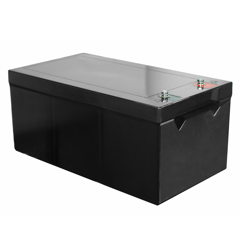 12.8V Lifepo4 Battery Pack With BMS 12V 24V 48V 100Ah 200Ah 300Ah lithium ion batteries for Solar Home ESS RV Camping Caravan AGV UPS Storage Battery