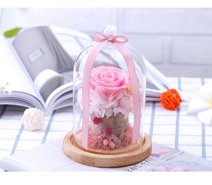 Preserved Valentines Day Gift Everlasting flower With Glass Cover Rose In Glass Dome Mother's Day Gift