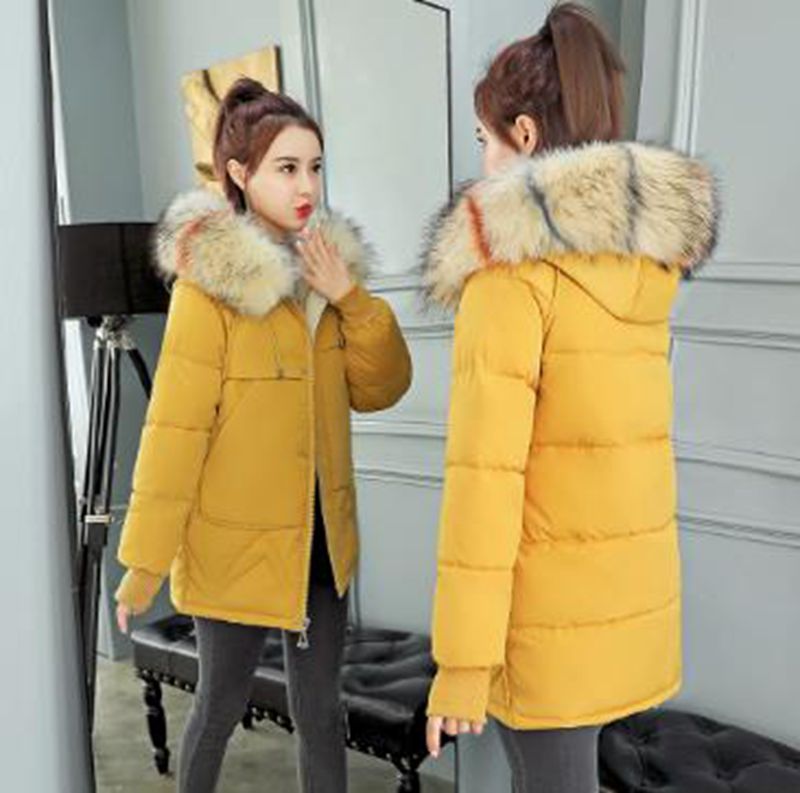 Wholesale winter women's thicker new style color fur collar slim mid-length padded jacket, Green
Wholesale winter women's thicker new style color fur collar slim mid-length padded jacket, Green