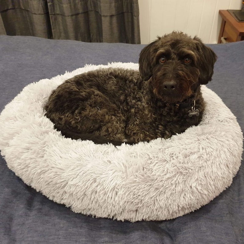 Removable Dog Bed Plush Round Donut Pet Beds Kennel Cusion Puppy Mats Lounger Comfy House Sofa for Medium Large Dogs Detachable LJ201201