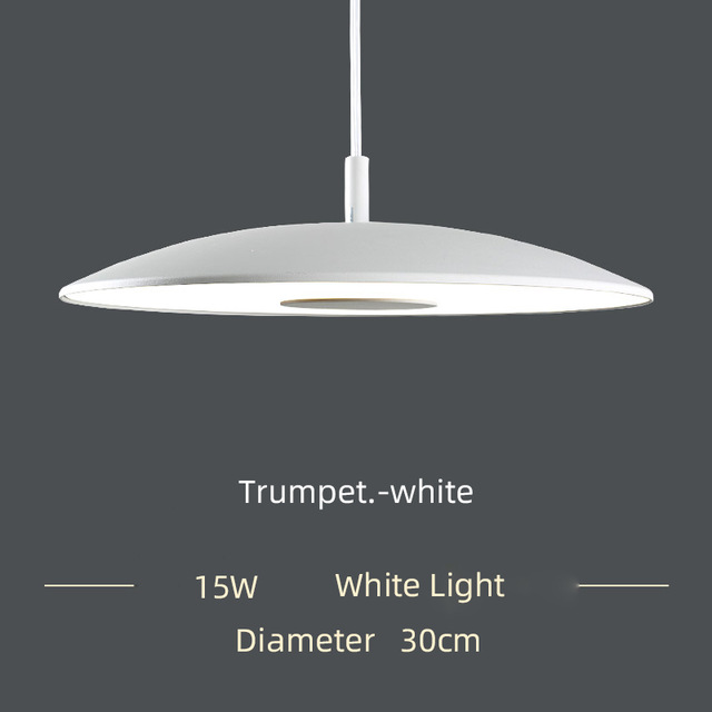 Northern European Restaurant pendant lamps simple single-head round table light for dinning room lighting LED