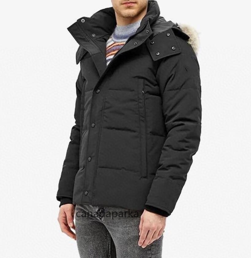 Winter Fourrure Down Parka Puffer Jacket Homme Jassen Chaquetas Outerwear Wolf Fur Hooded Fourrure Manteau Jacket Coat Hiver Doudoune Mens