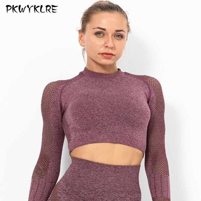 Hollow mesh yoga shirt feminine belly button female tight-fitting quick-drying sports long-sleeved fitness yoga wear T-shirt1
Hollow mesh yoga shirt feminine belly button female tight-fitting quick-drying sports long-sleeved fitness yoga wear T-shirt1