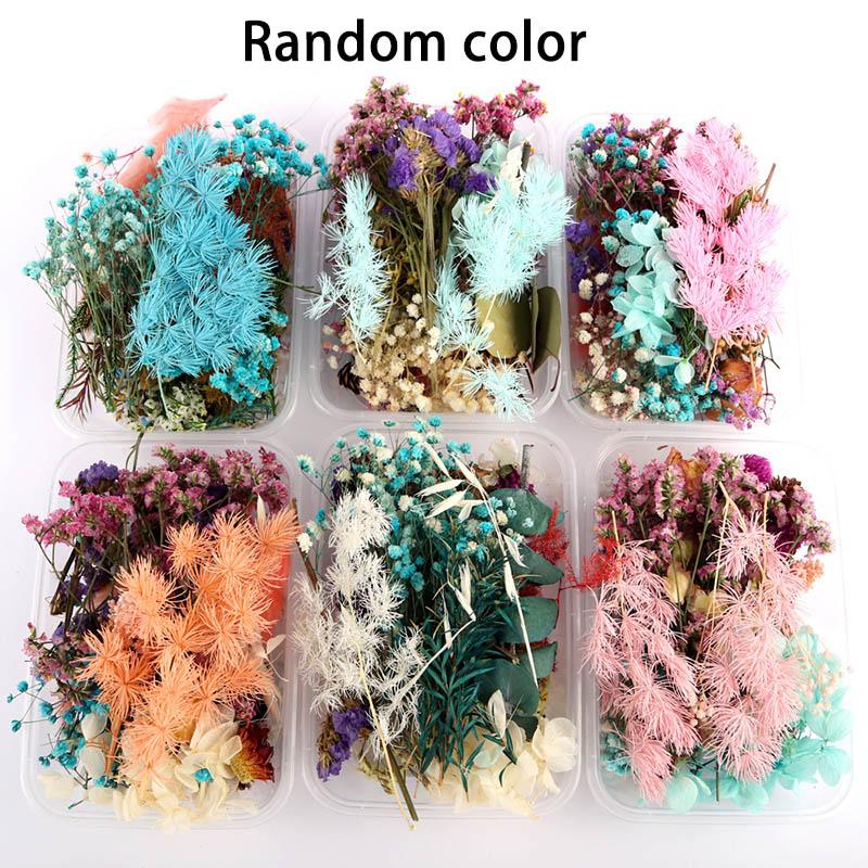 Jewelry Making Craft Pendant Supplies DIY Accessories Ornament Random Color Party Decorate 1Box Dried Flower Plant
Jewelry Making Craft Pendant Supplies DIY Accessories Ornament Random Color Party Decorate 1Box Dried Flower Plant
