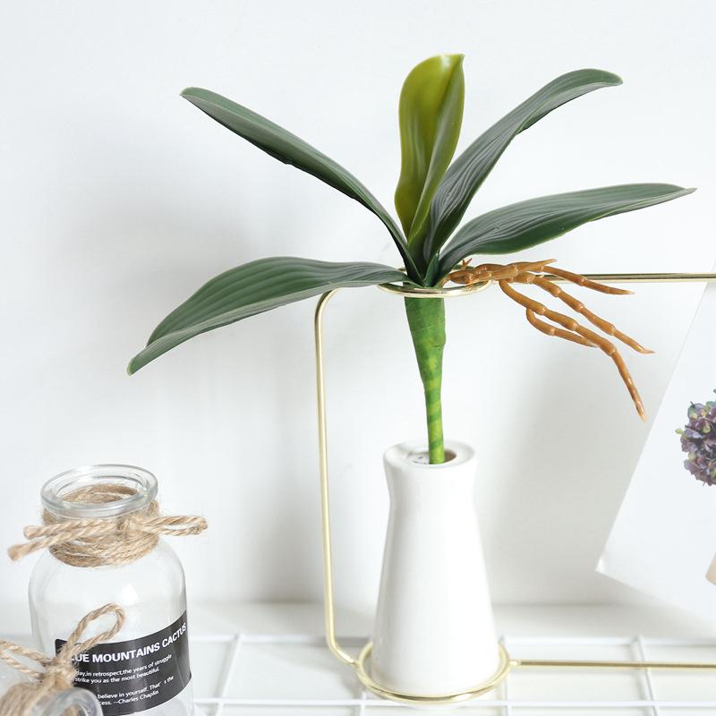 High Quality Decorative Moth Orchid Leaf Artificial Flowers Butterfly Orchid Leaves for Home Decoration Wedding Party Flowers, Small size
High Quality Decorative Moth Orchid Leaf Artificial Flowers Butterfly Orchid Leaves for Home Decoration Wedding Party Flowers, Small size