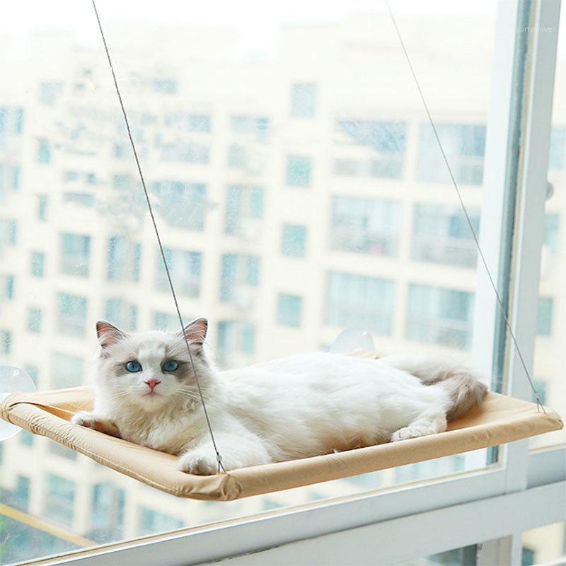 Cat Hanging Beds Bearing 35kg Soft Pet Shelf Seat Beds Sunny Seat Window Mount Hammock Supplies Comfortable Detachable Bearing1
Cat Hanging Beds Bearing 35kg Soft Pet Shelf Seat Beds Sunny Seat Window Mount Hammock Supplies Comfortable Detachable Bearing1