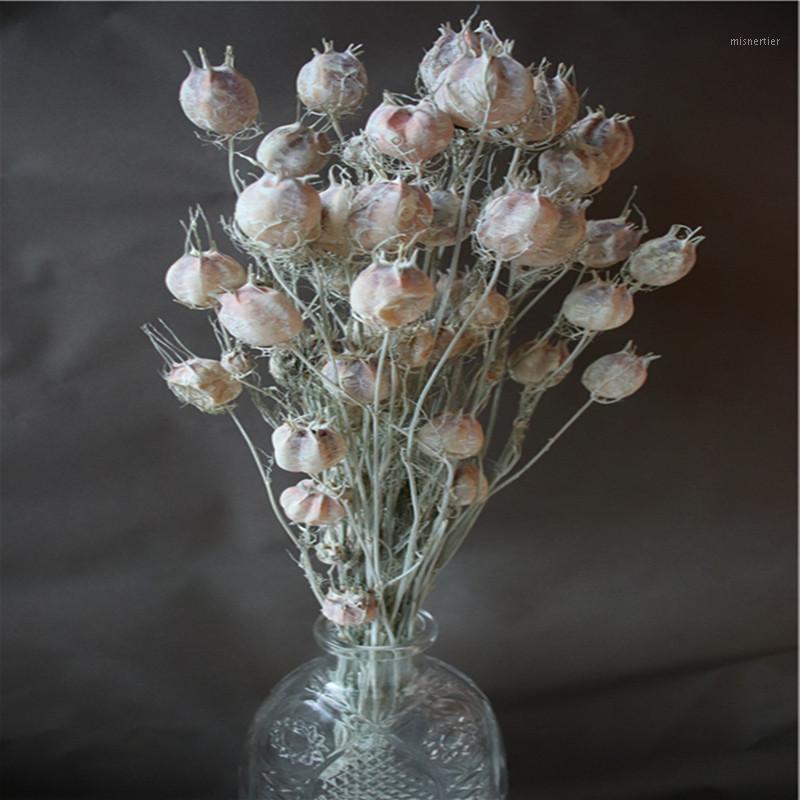 10pcs Natural dried dry flower branches of diy wedding home soft art decoration Free Shipping1
10pcs Natural dried dry flower branches of diy wedding home soft art decoration Free Shipping1