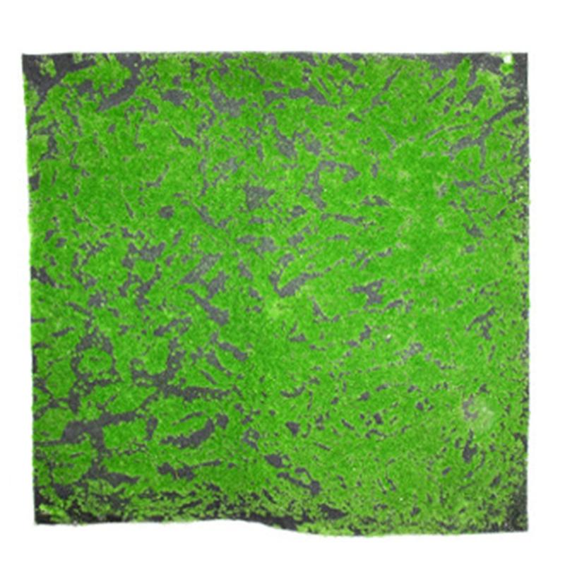 1Mx1M Square Artificial Plant Lawn Home Simulation Plant Background Wall Moss Turf Green Sod Interior Window Decoration
1Mx1M Square Artificial Plant Lawn Home Simulation Plant Background Wall Moss Turf Green Sod Interior Window Decoration